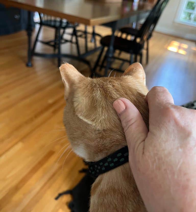 Are you wondering how I and my services are unique